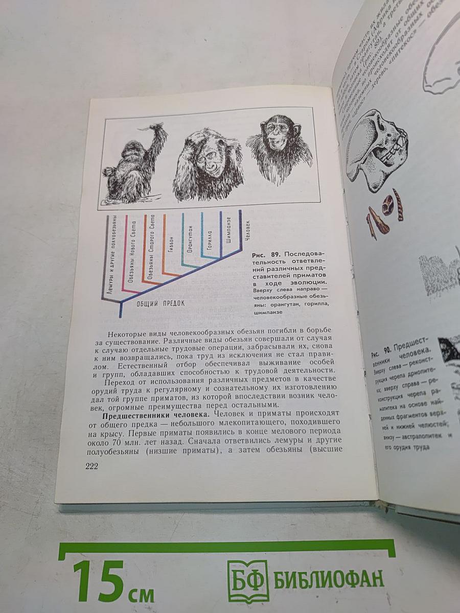 Общая биология. Учебник для 10-11 классов