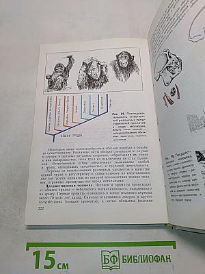 Общая биология. Учебник для 10-11 классов