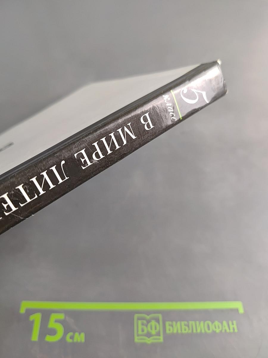 В мире литературы. Учебник-хрестоматия. Часть 2. 5 класс
