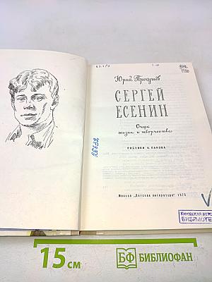 Сергей Есенин. Очерк жизни и творчества