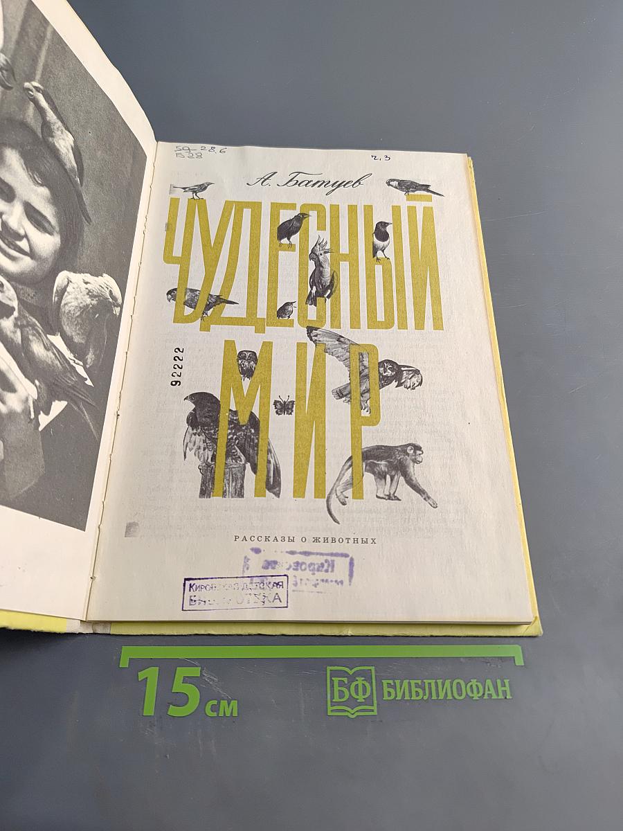 Чудесный мир