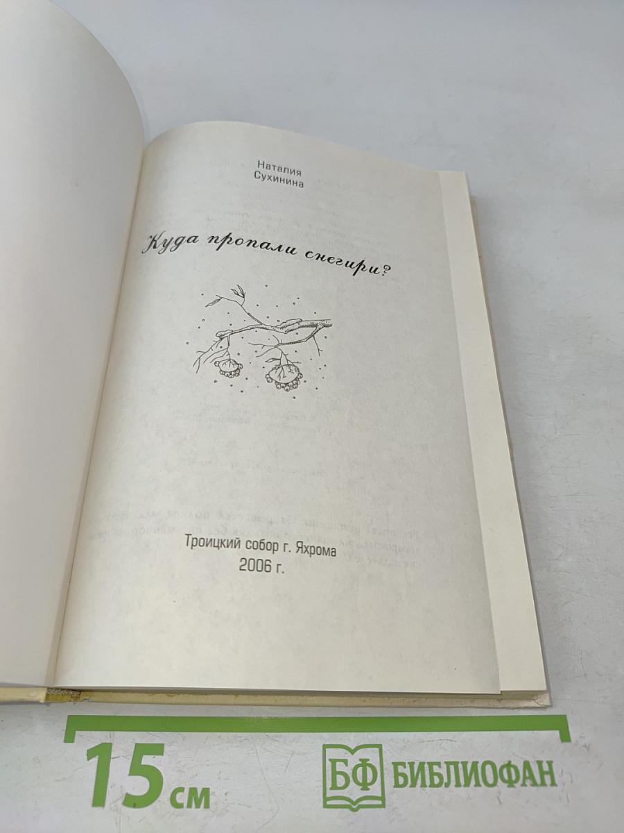 Куда пропали снегири?