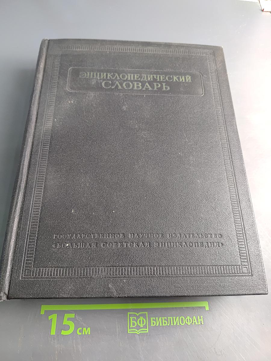 Энциклопедический словарь. Том 1. А-Й