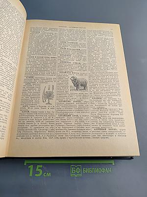 Энциклопедический словарь. Том 1. А-Й