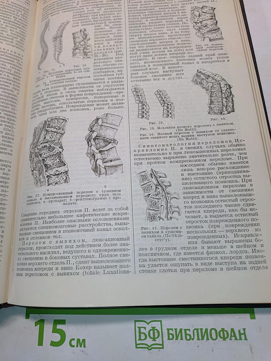 Большая медицинская энциклопедия. Том двадцать шестой. Подвысоцкий — Почки