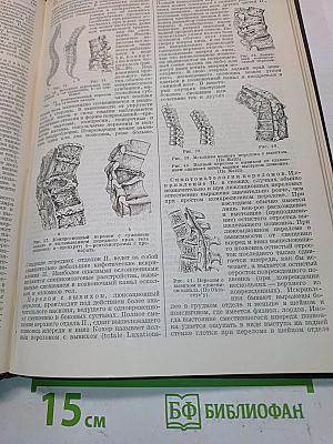 Большая медицинская энциклопедия. Том двадцать шестой. Подвысоцкий — Почки