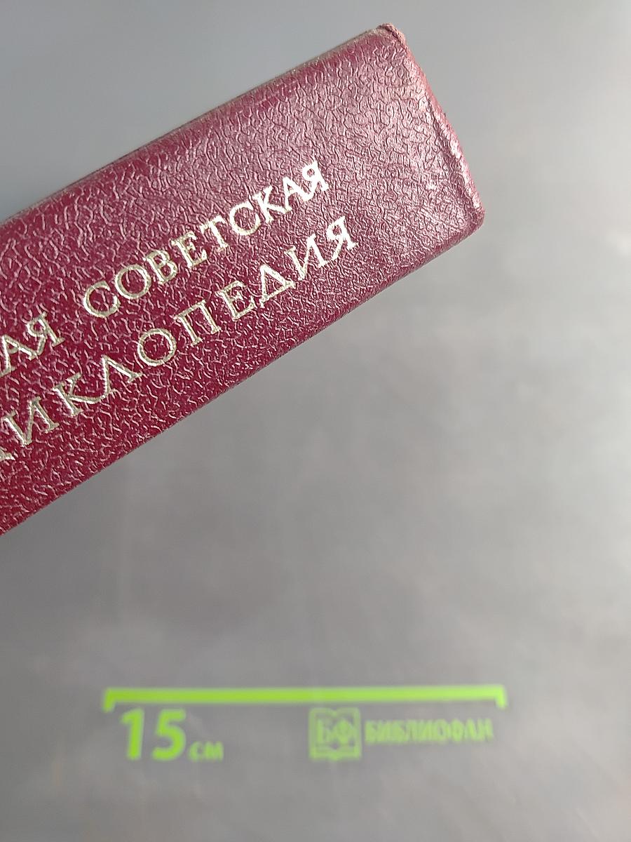 Большая Советская Энциклопедия. Том 29. Чаган - Экс-ле-бен