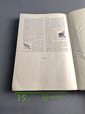Малая Советская Энциклопедия. Том Второй. Ванини — Дротик