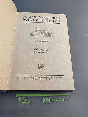 Малая Советская Энциклопедия. Том Шестой. Огневики — Пряжка