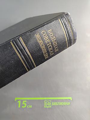 Большая Советская Энциклопедия. Том 30. Николаев - Олошки