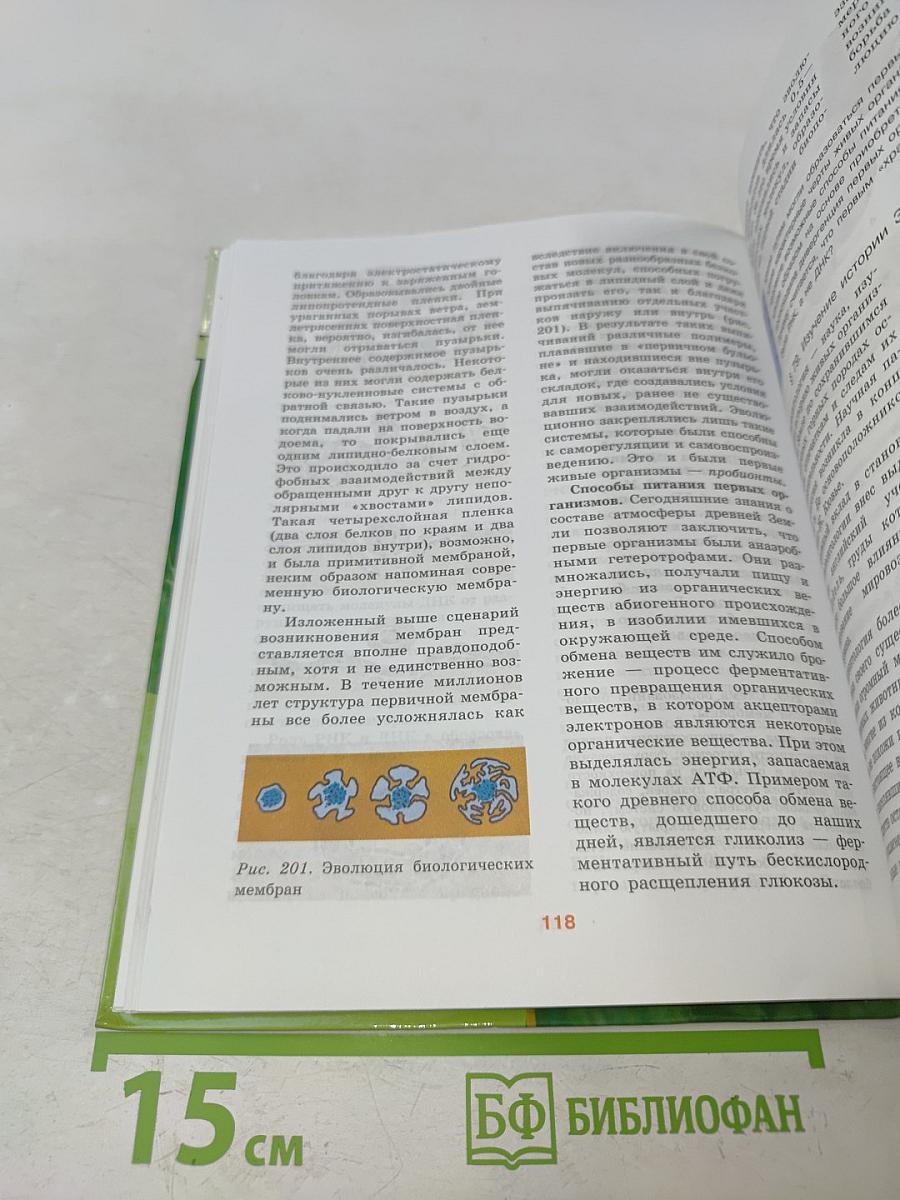 Биология. Общая биология. Часть 2. Учебник для общеобразовательных учреждений. Профильный уровень. 10-11 классы
