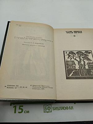 На горах. Книга первая