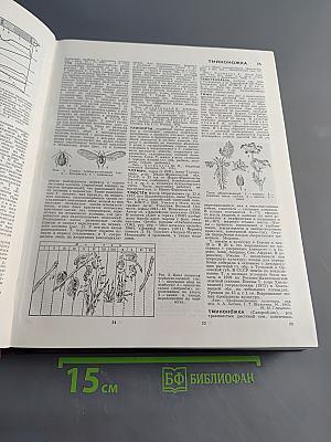 Большая Советская Энциклопедия, Том 26