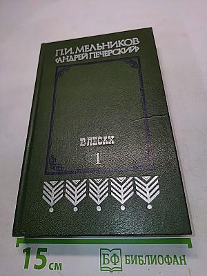 В лесах. Книга первая