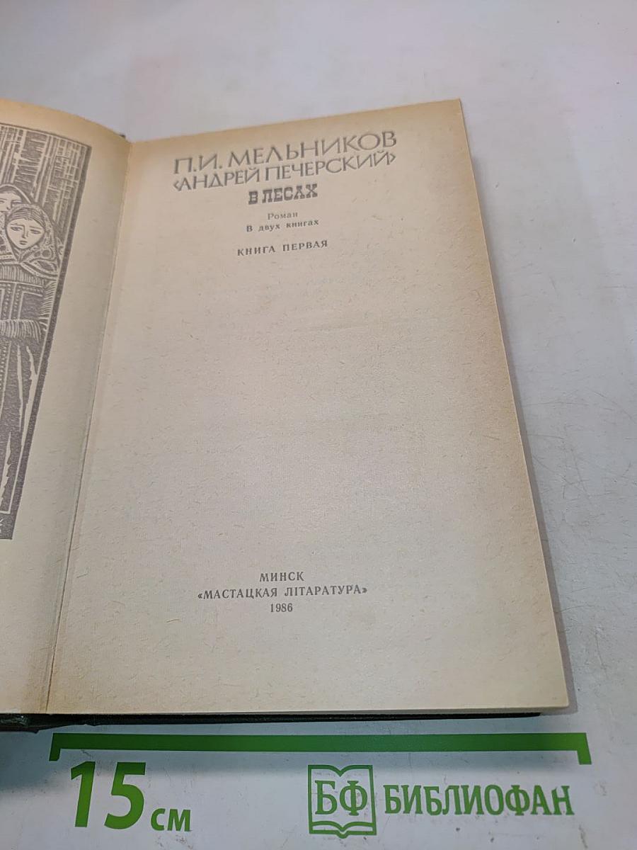 В лесах. Книга первая