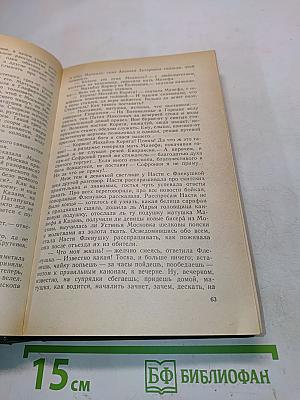 В лесах. Книга первая