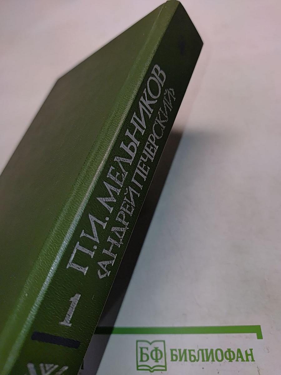В лесах. Книга первая