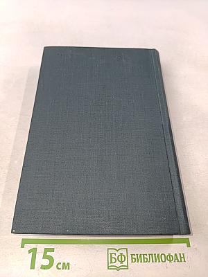 На грани веков. Книги III и IV