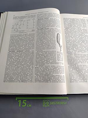 Большая Советская Энциклопедия. Том 16. Железо-Земля