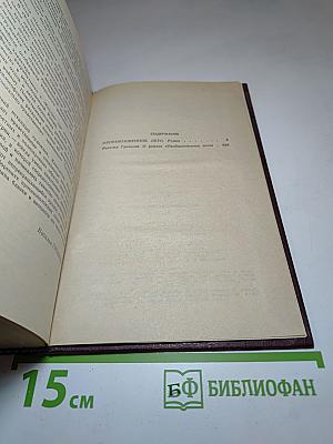 Необыкновенное лето