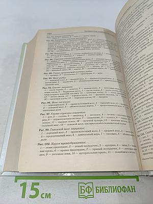 Биология. Справочник для старшеклассников и поступающих в вузы