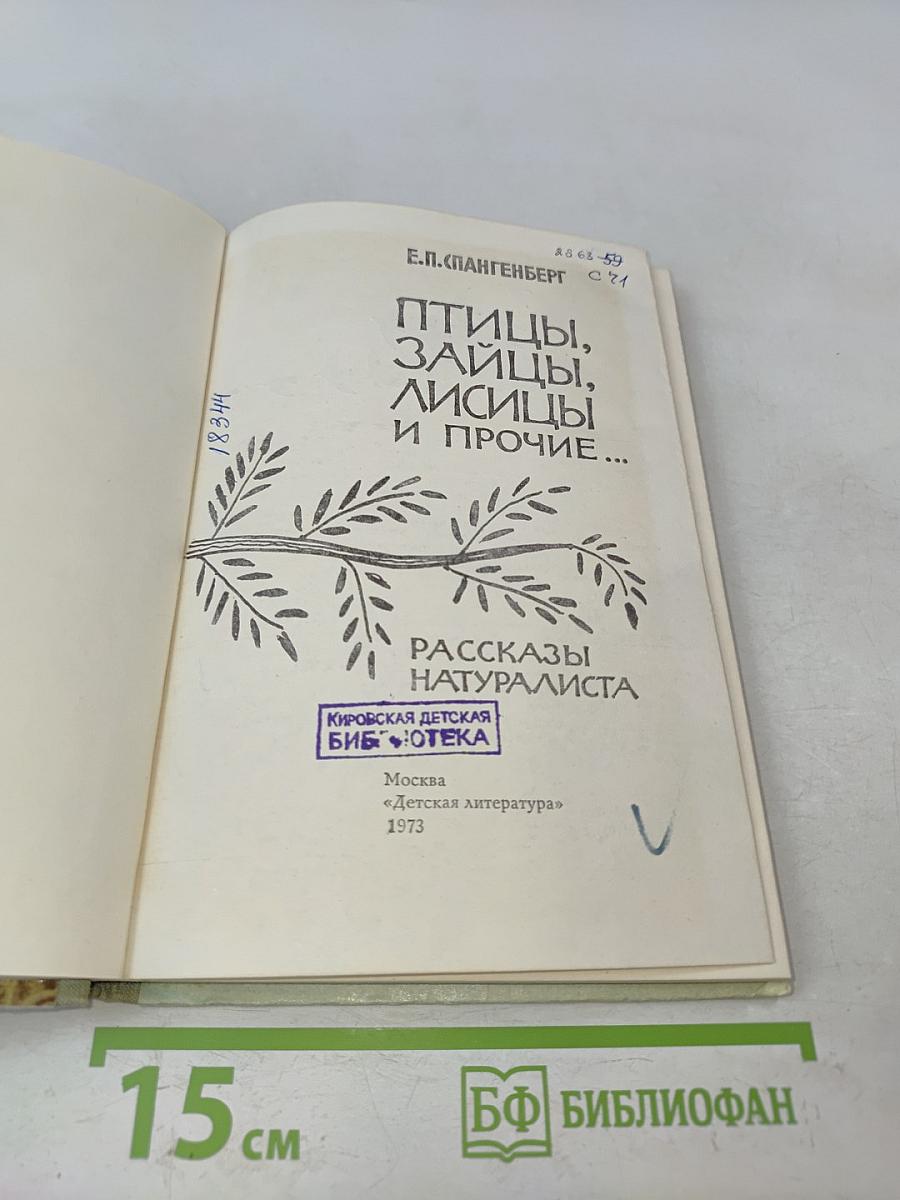 Птицы, зайцы, лисицы и прочие...