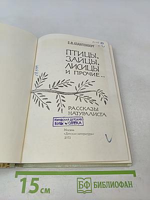 Птицы, зайцы, лисицы и прочие...