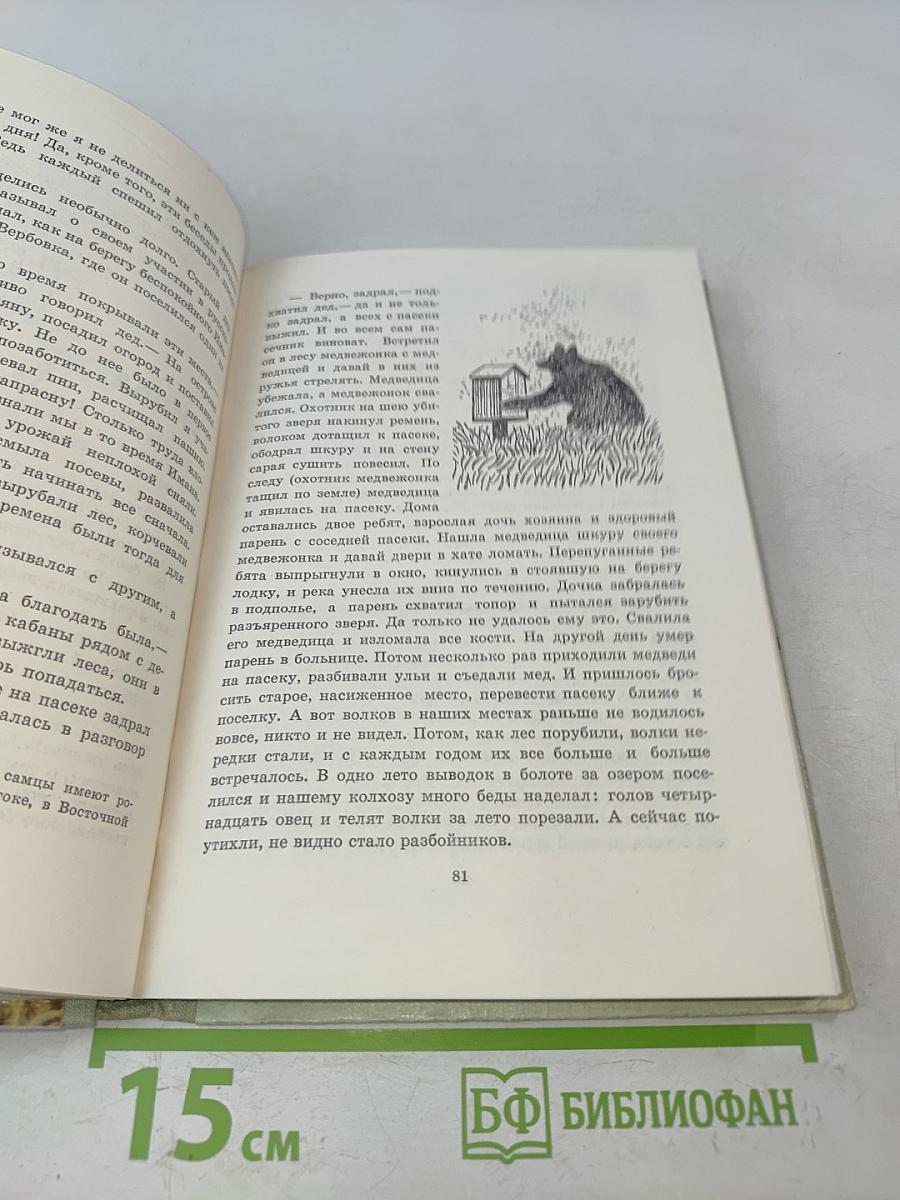 Птицы, зайцы, лисицы и прочие...