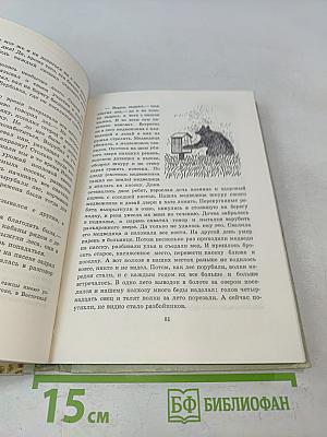 Птицы, зайцы, лисицы и прочие...