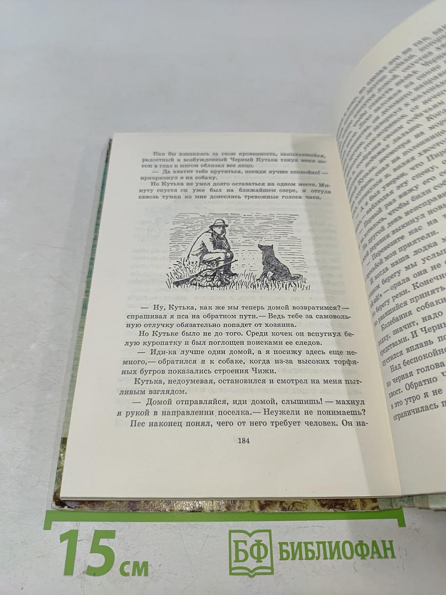 Птицы, зайцы, лисицы и прочие...