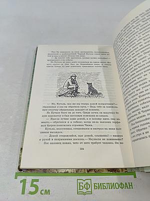 Птицы, зайцы, лисицы и прочие...
