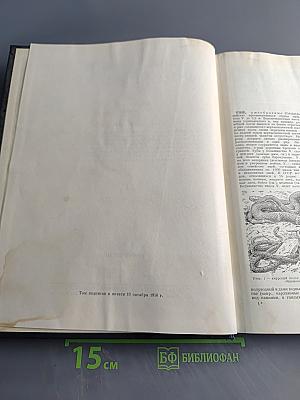 Большая Советская Энциклопедия. Том 44