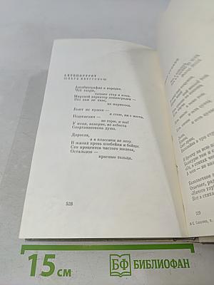 Избранные стихотворения и поэмы. Том 1