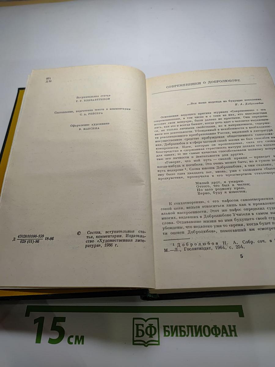 Н. А. Добролюбов в воспоминаниях современников