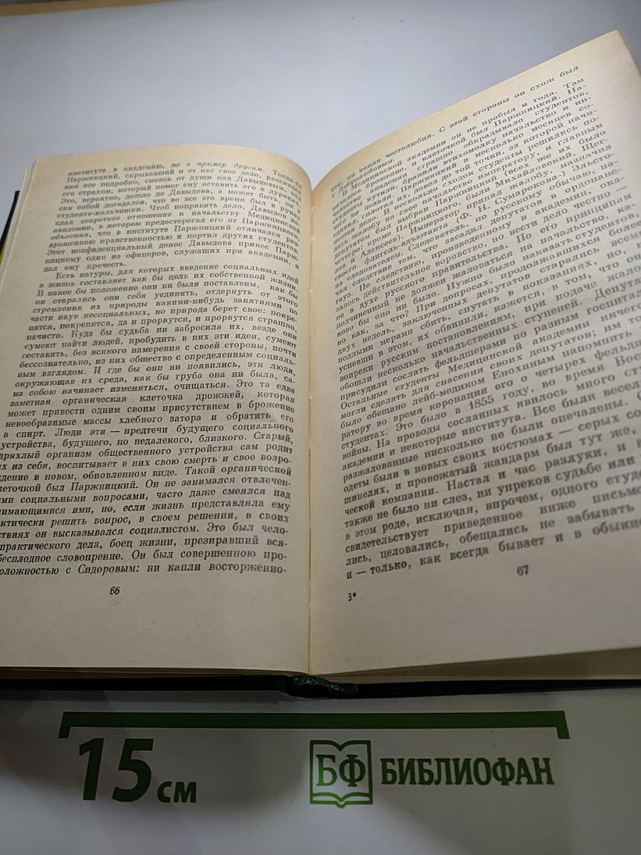 Н. А. Добролюбов в воспоминаниях современников