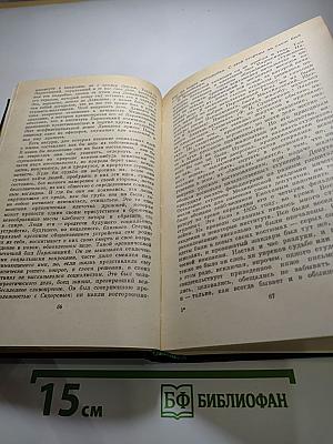 Н. А. Добролюбов в воспоминаниях современников