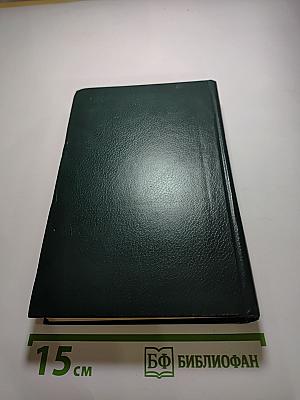 Н. А. Добролюбов в воспоминаниях современников