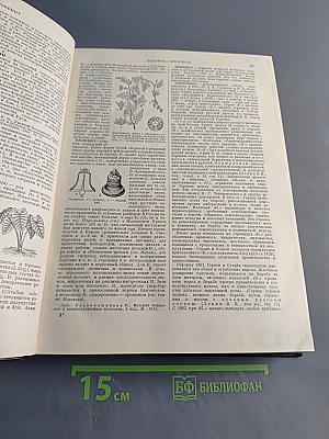 Большая Советская Энциклопедия. Том 22. Коллиматор — Коржины