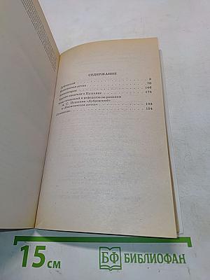 Дубровский. Капитанская дочка