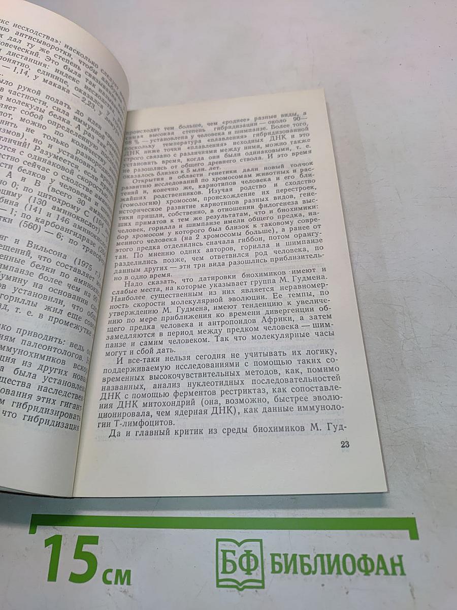 Занимательная приматология