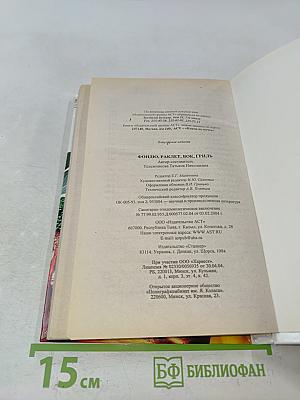 Фондю, раклет, вок, гриль