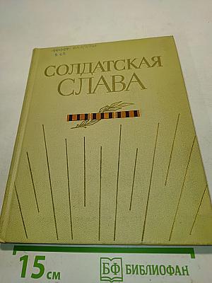 Солдатская слава. Книга третья