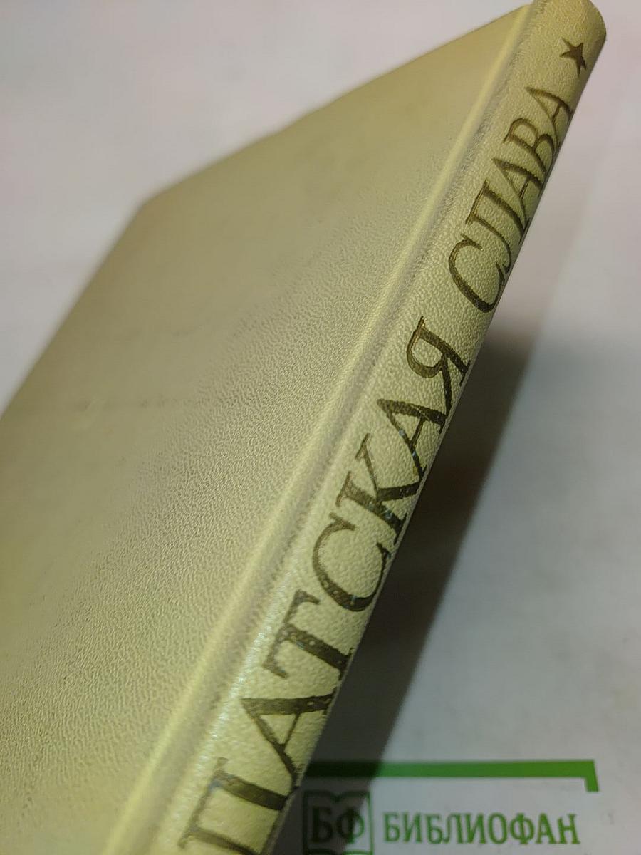 Солдатская слава. Книга третья