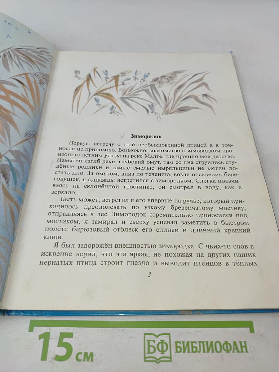 Доверчивая белка