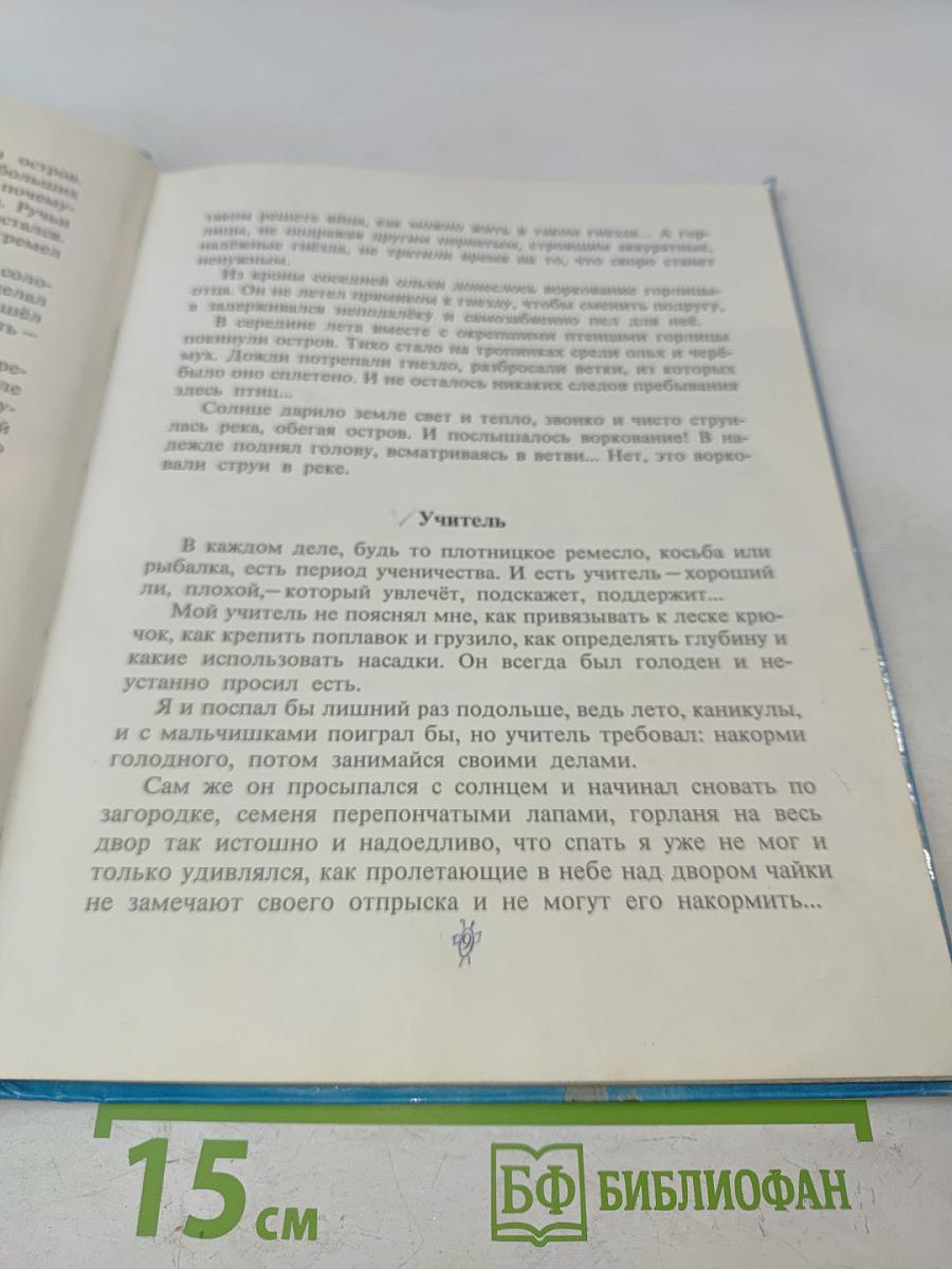 Доверчивая белка