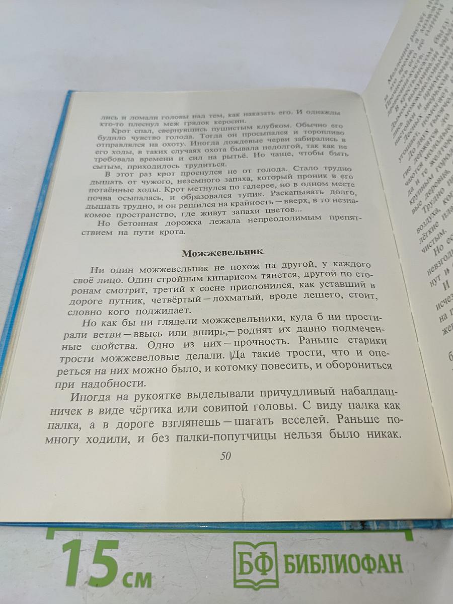 Доверчивая белка