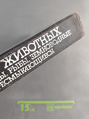 Мир животных: Птицы, рыбы, земноводные и пресмыкающиеся