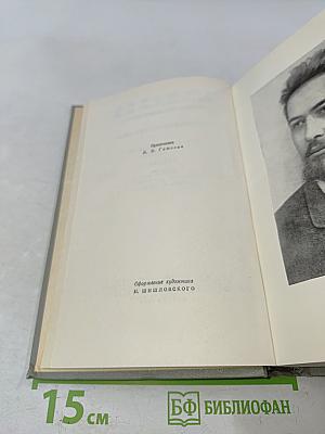 Собрание сочинений. Том одиннадцатый. Письма 1877-1892