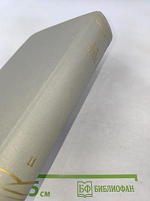 Собрание сочинений. Том одиннадцатый. Письма 1877-1892