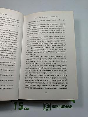 Тень «Полярной звезды»